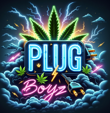 Plug Boyz